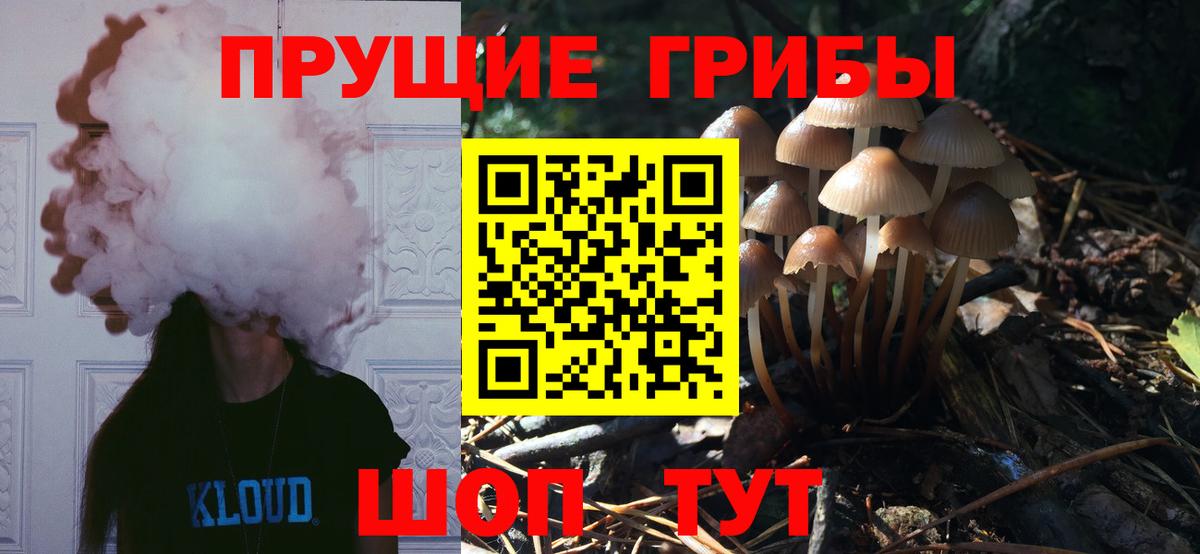 Псилоцибиновые грибы Cubensis Нефтекумск