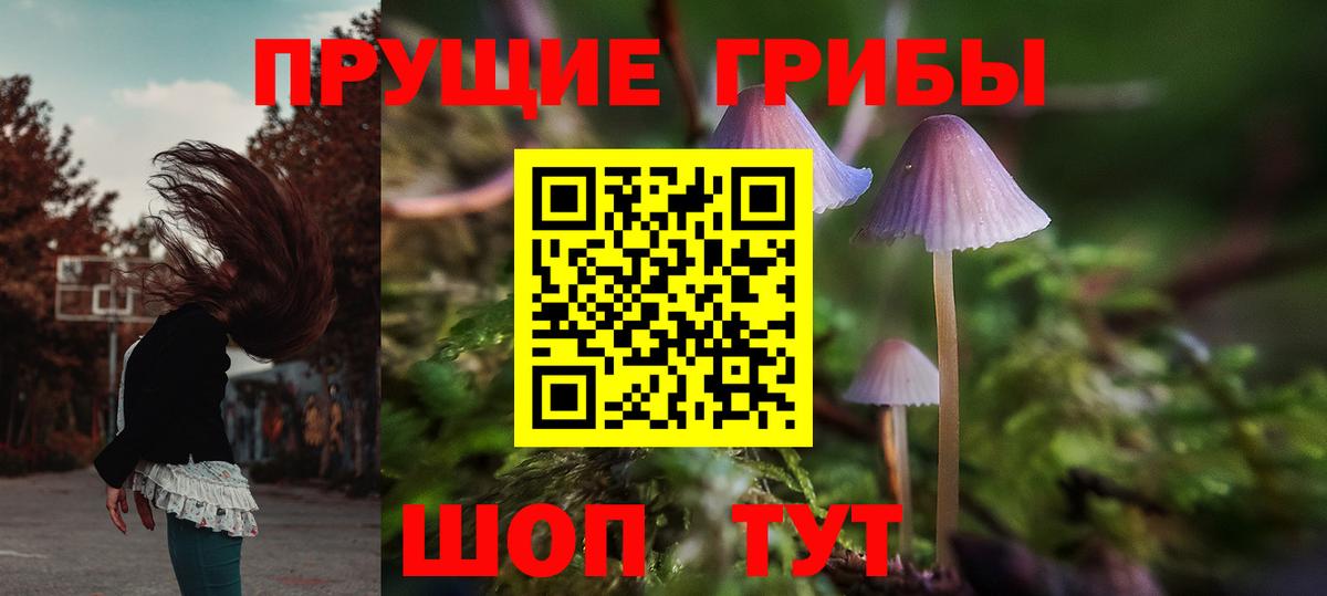 Псилоцибиновые грибы Magic Shrooms  Вход с VPN  Нефтекумск 